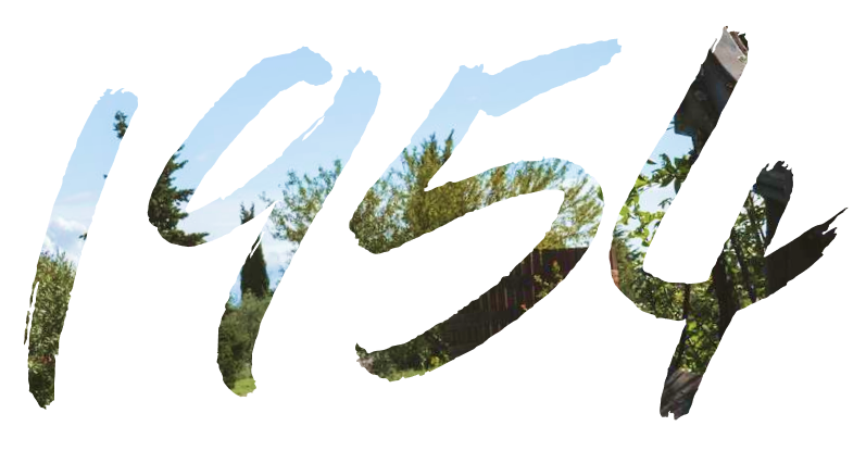 1954
